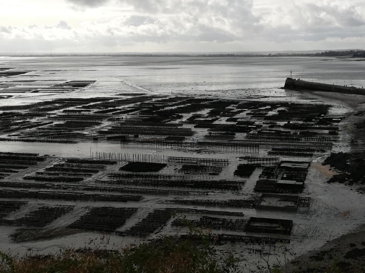 Chambres D'Hotes Les Fleurettes En Baie Du Mont Saint Michel Zewnętrze zdjęcie